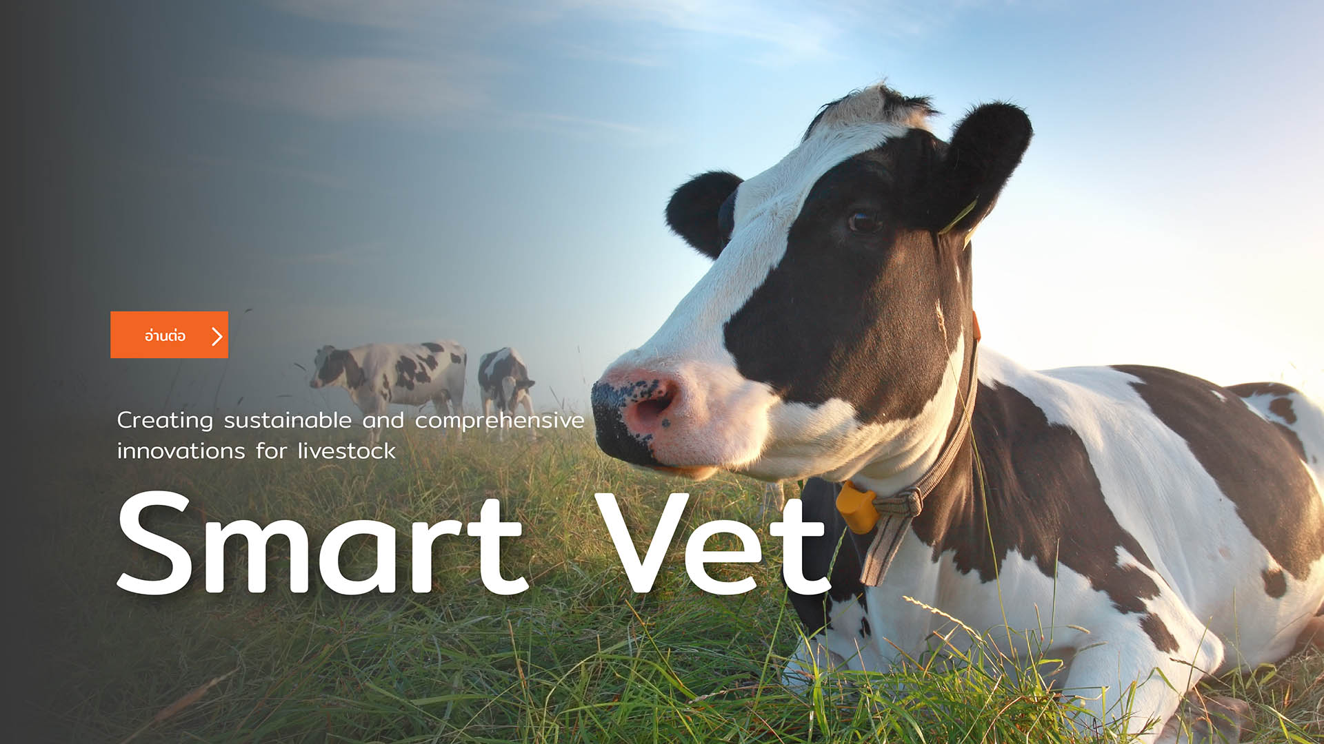 Home - “Smart Vet Co., Ltd.”